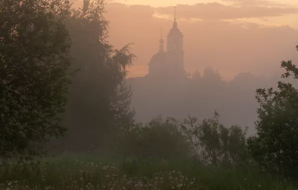 Trees, fog, Church