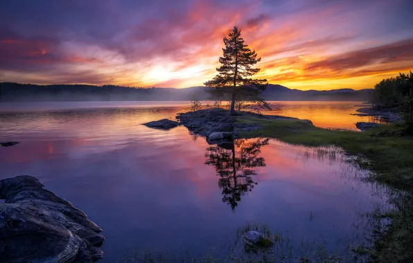 Picture sunset, lake, tree