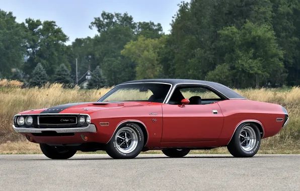 Muscle car, Dodge, dodge, challenger, muscle car, 1970, a group