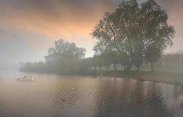 Picture trees, fog, river, morning, channel