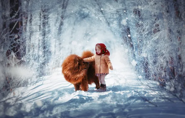 Winter, snow, child, dog, girl, shawl, Chow, coat