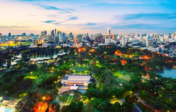 Trees, Park, building, lights, trees, park, buildings, lamps