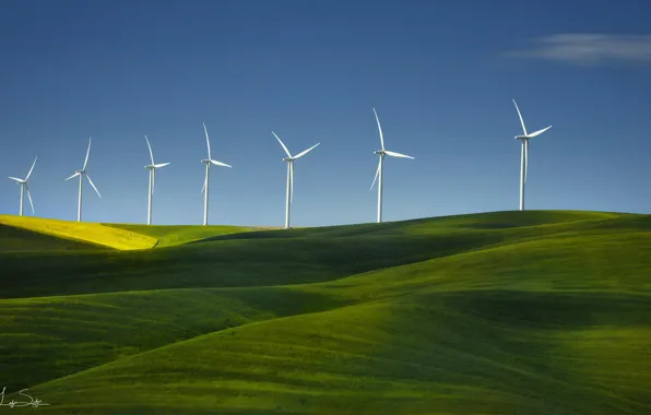 Field, grass, nature, windmills