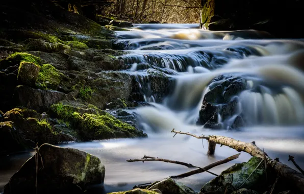 Picture branches, stones, waterfall