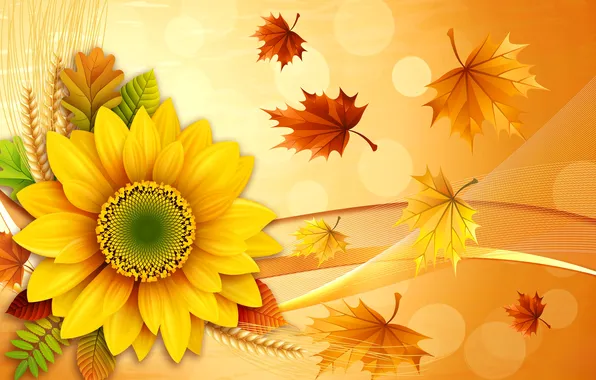 Autumn, flower, leaves, collage, sunflower, ears