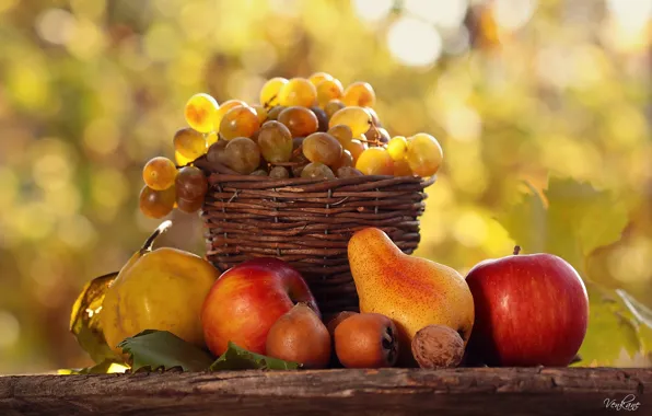 Picture autumn, light, table, basket, food, fruit, gifts, nature