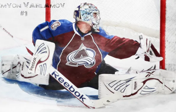 Gate, hockey, Semyon Varlamov, the goalkeeper, varlamov