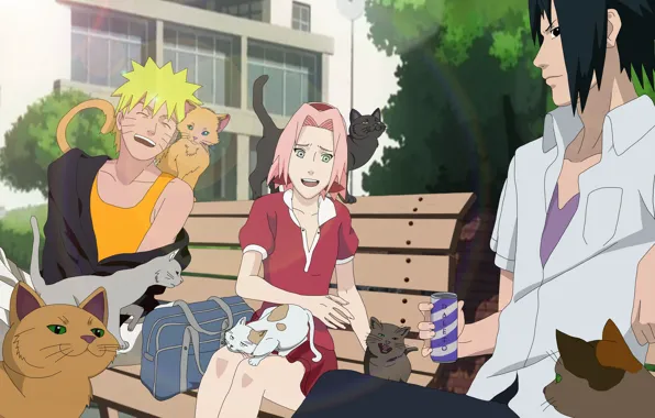Girl, game, Sasuke, Naruto, Sakura, nothing, anime, cat