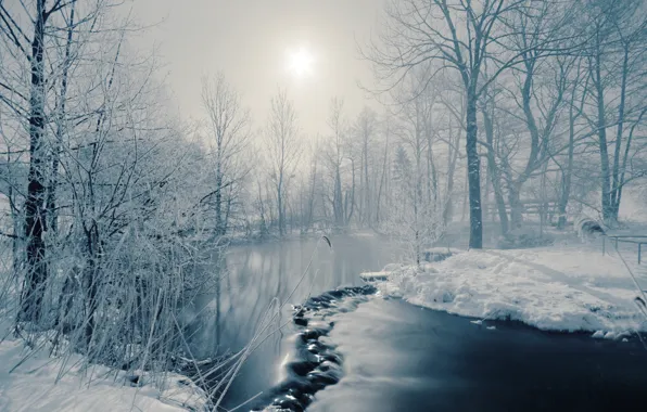 Winter, the sun, trees, fog, river