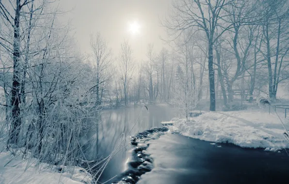 Picture winter, the sun, trees, fog, river