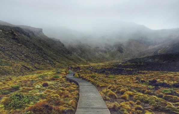 Winter, clouds, the way, people, hill, rainy