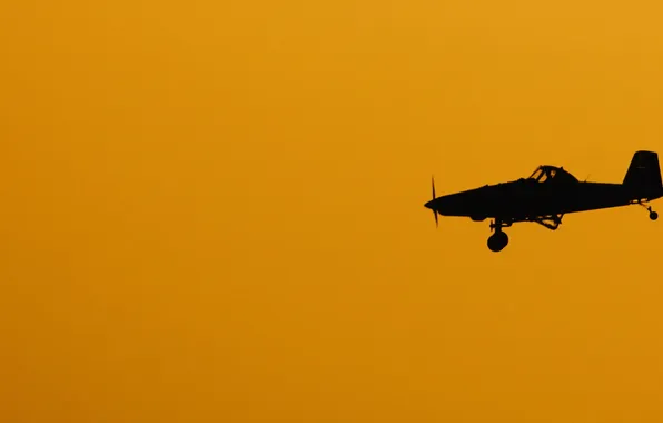 The sky, silhouette, the plane