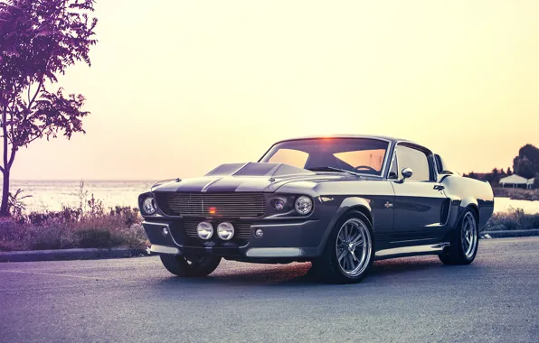 Picture mustang, ford, shelby, eleanor, gt500e, Giannes Kokkas photography