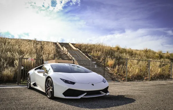 White, Lambo, 2014, Hurricane