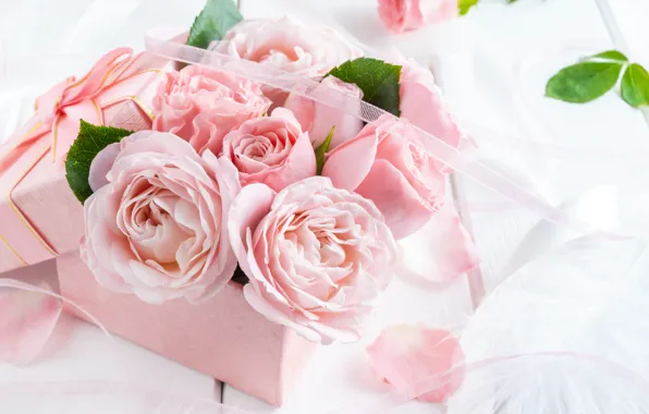 Picture flowers, box, roses, rose, buds, box, pink, flowers