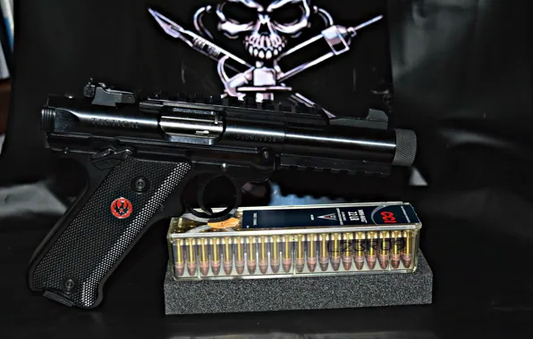 Skull, Gun, Cartridges