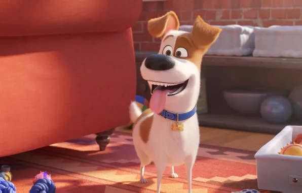 Language, joy, dog, dog, The secret life of Pets 2, The Secret Life of Pets …