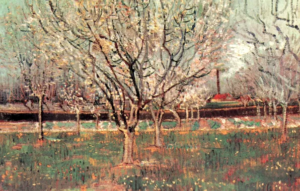 Picture trees, flowers, Vincent van Gogh, Plum Trees, Orchard in Blossom