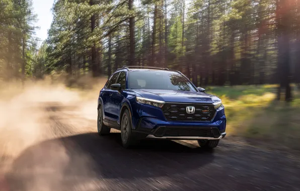 Road, forest, speed, SUV, Honda, Hybrid, SUV, Hybrid