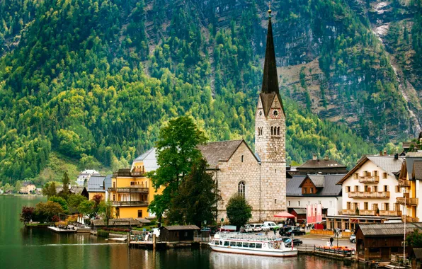 Forest, trees, mountains, lake, rocks, watch, tower, home