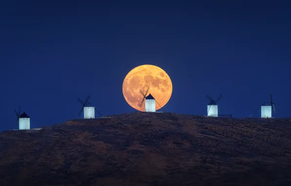 The sky, night, darkness, the moon, view, hill, moonlight, the full moon