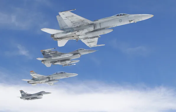 Picture the sky, flight, the plane, aircraft, General Dynamics F-16 Fighting Falcon, McDonnell Douglas F/A-18 Hornet