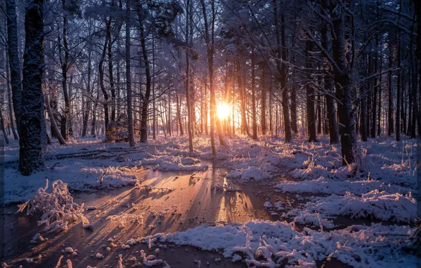 Winter, forest, water, the sun, snow, trees, sunset, Sweden