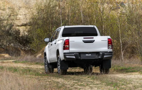 Road, greens, white, grass, Toyota, pickup, Hilux, Special Edition