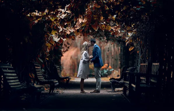 Park, kiss, pair, alley, lovers