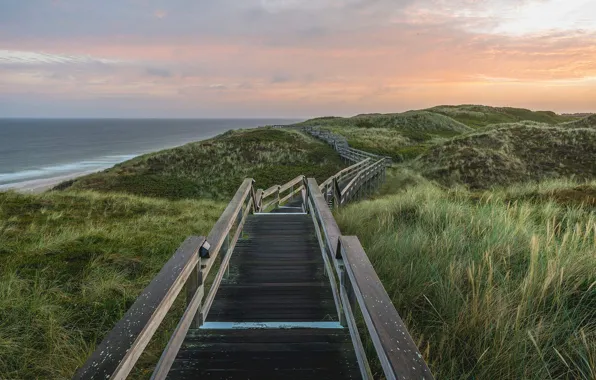 Picture island, Germany, track, Sylt