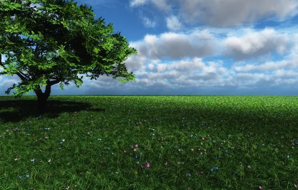 Picture field, grass, clouds, flowers, tree, shadow, art, field
