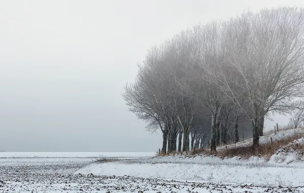 Picture field, snow, landscape