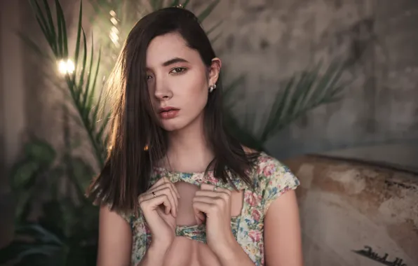 Chest, sponge, brown-eyed, Disha Shemetova, Oleg Demyanchenko