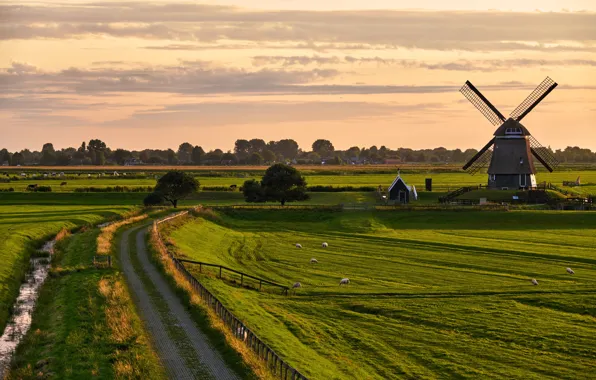 Picture road, field, the sky, the sun, trees, mill, house, Netherlands