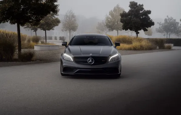 Front, AMG, Grey, CLS63, Lorenzo, Pogea Racing, CLS63 S
