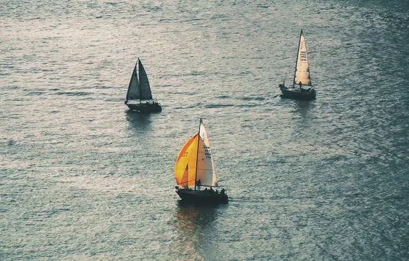Sea, sails, swimming, the, training, sports yachts, Sailboats Serenely Sailing, Over Tranquil Waters