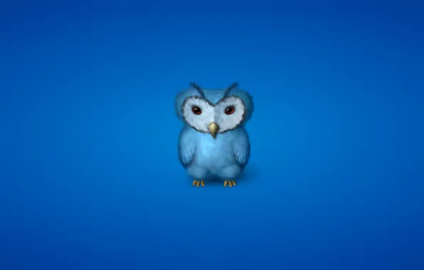 Owl, bird, minimalism, blue, owl, bluish background