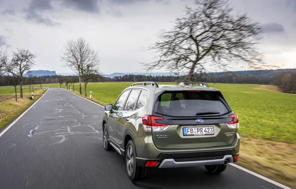 Road, Subaru, crossover, Forester, 2019