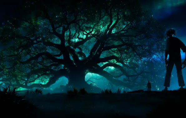 Picture forest, night, lights, lights, tree, movie, the film, tale