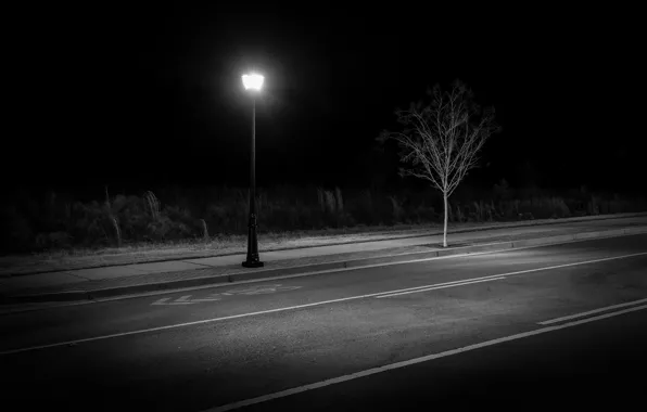 Night, the city, street, lantern