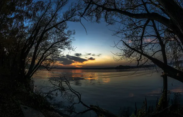 The sky, Lake, Branches