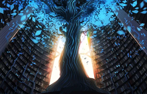 Leaves, trees, art, trunk, rack, books. light