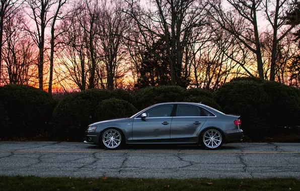 Audi, Audi, profile