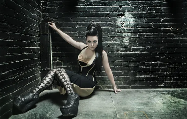 Picture singer, evanescence, amy lee, Amy Lee