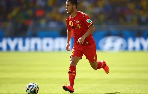 Sport, Football, Belgium, Brazil, Football, Sport, Player, Brasil