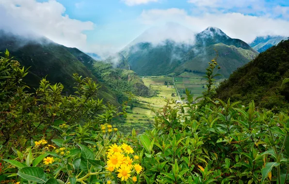 Picture greens, clouds, mountains, field, valley, the bushes, Ecuador, Pululahua