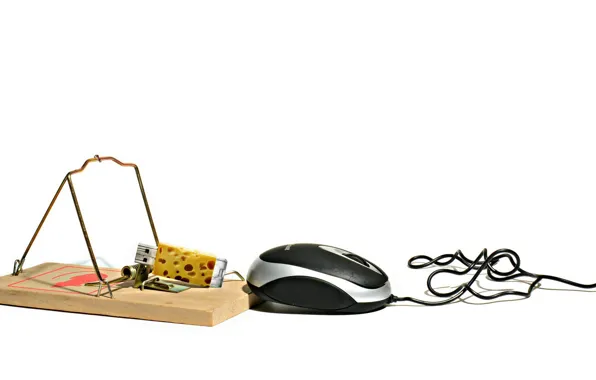 Cheese, mousetrap, mouse