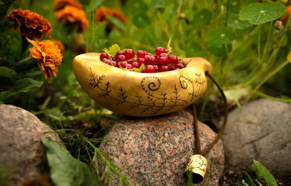 Greens, grass, flowers, nature, berries, stones, garden, bowl