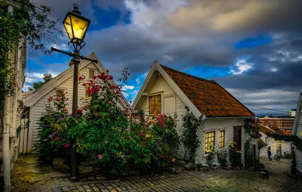 Flowers, the city, street, home, the evening, lighting, Norway, lights