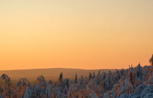 Winter, landscape, nature, dawn, winter, sunrise, Ural, ural